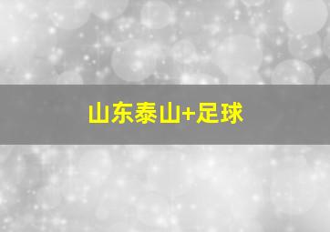 山东泰山 足球